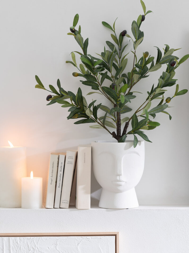 Olivenbaum grün im Plastiktopf klein Art. nr. JL 22010