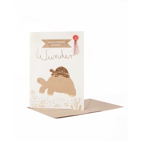 kleine Wunder Karte schildkröte Art nr. G f 14