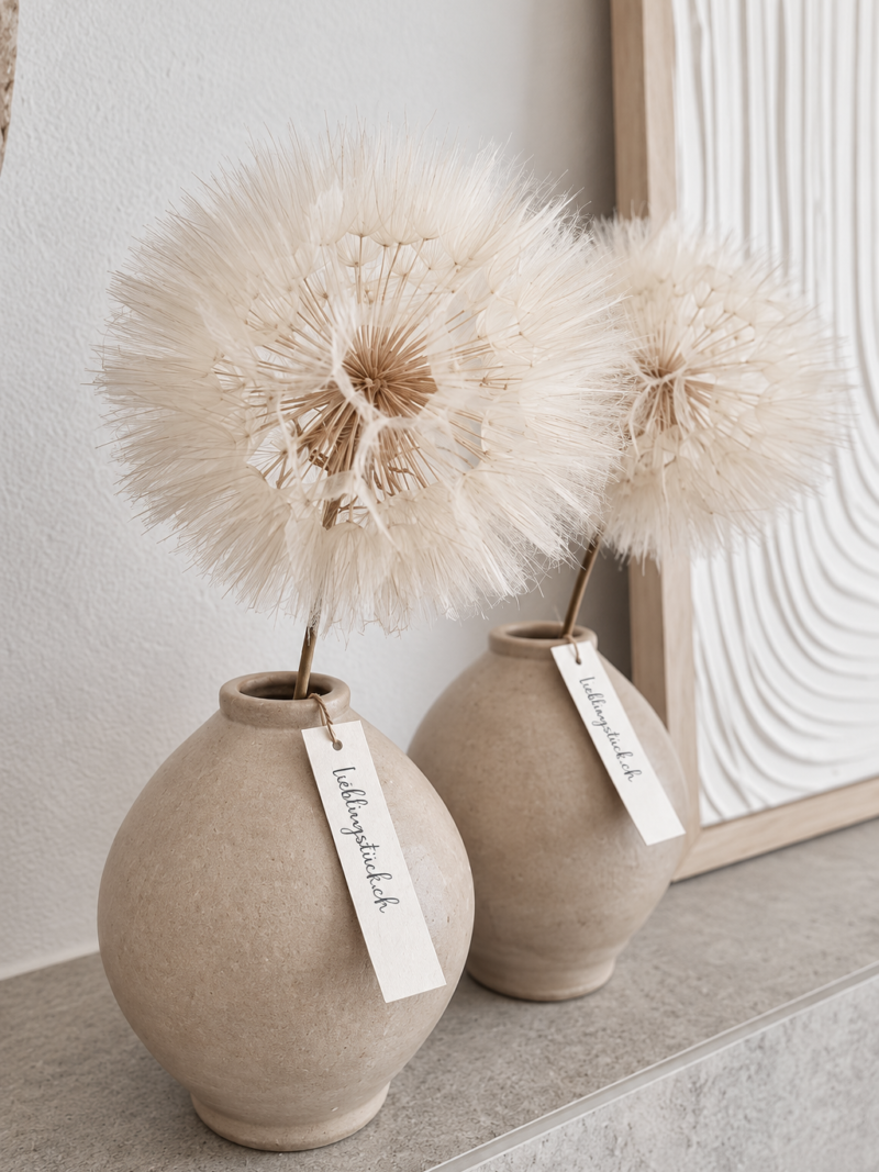 Echte Pusteblume Art nr. Hb554