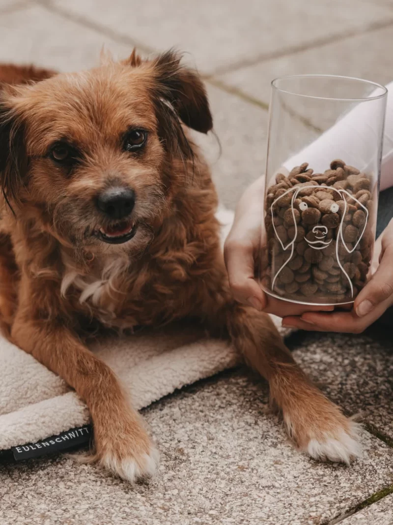 Vorratsglas Hund 19 cm Eulenschnitt art nr. E 2622
